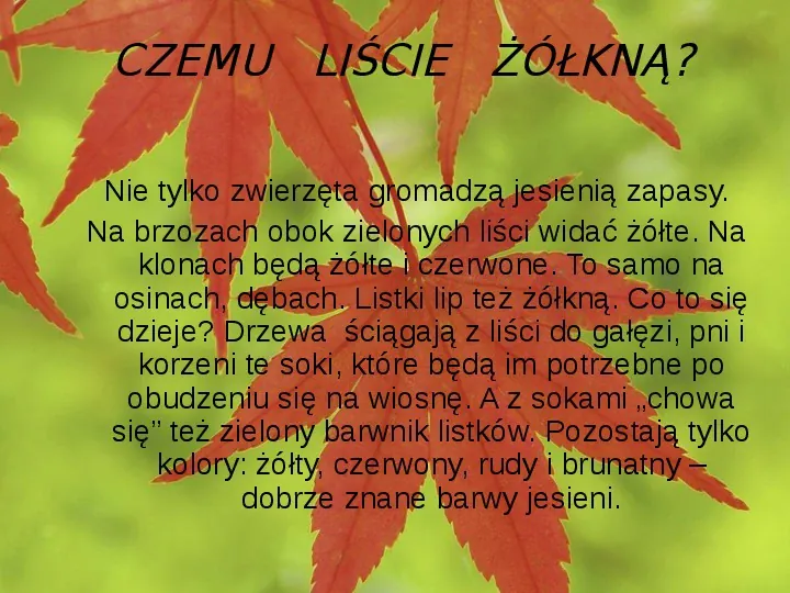 Złota polska jesień - Slide 21