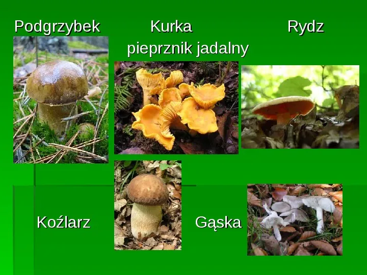 Złota polska jesień - Slide 24