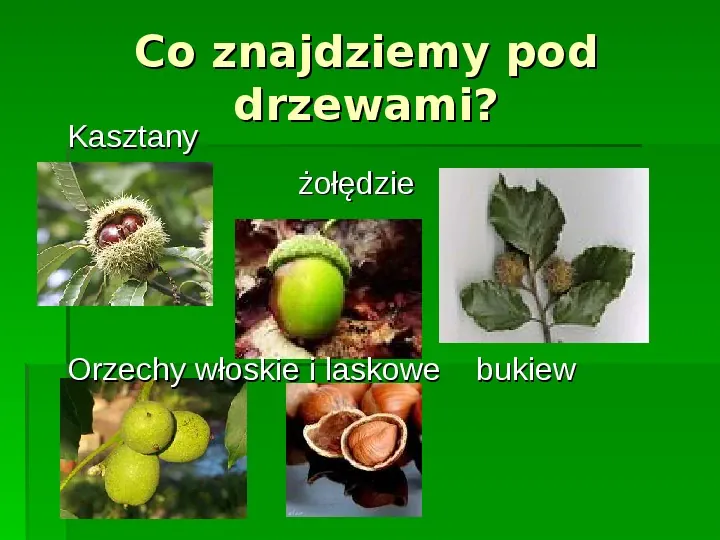 Złota polska jesień - Slide 25
