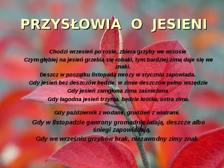Złota polska jesień - Slide 3