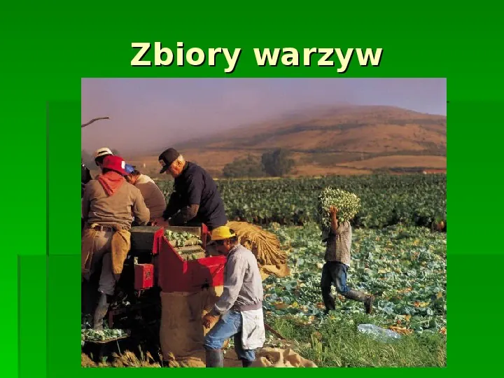 Złota polska jesień - Slide 30