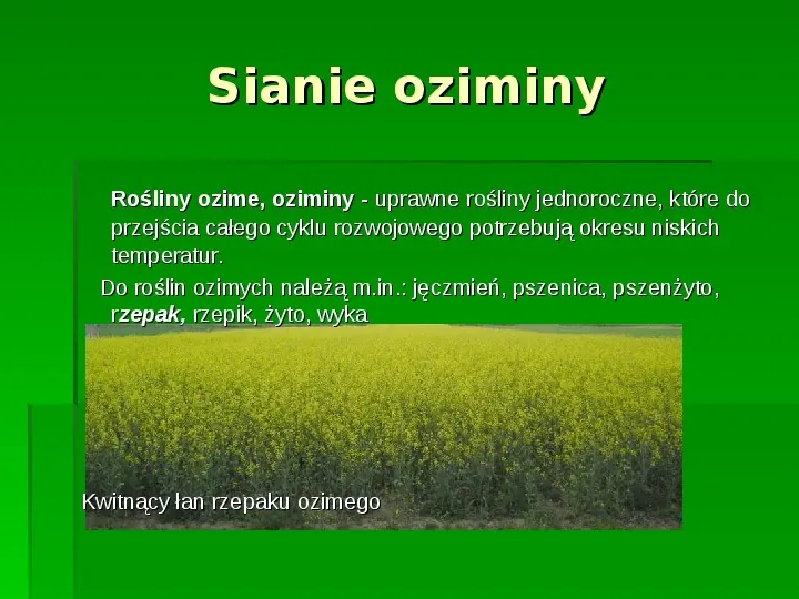 Złota polska jesień - Slide 31