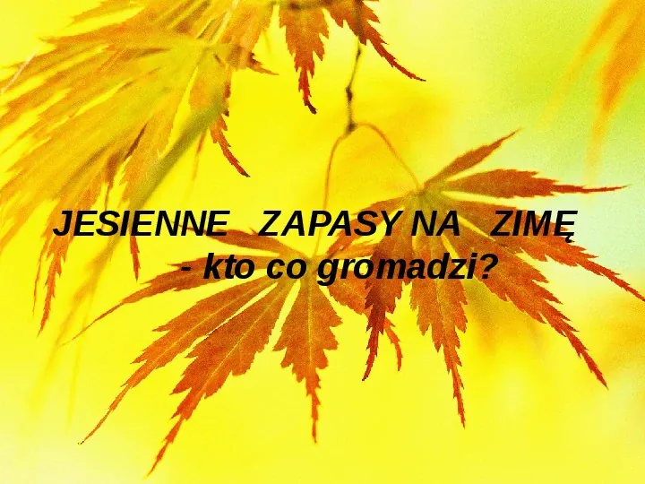Złota polska jesień - Slide 5
