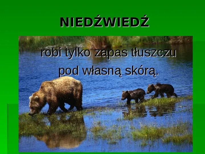 Złota polska jesień - Slide 7