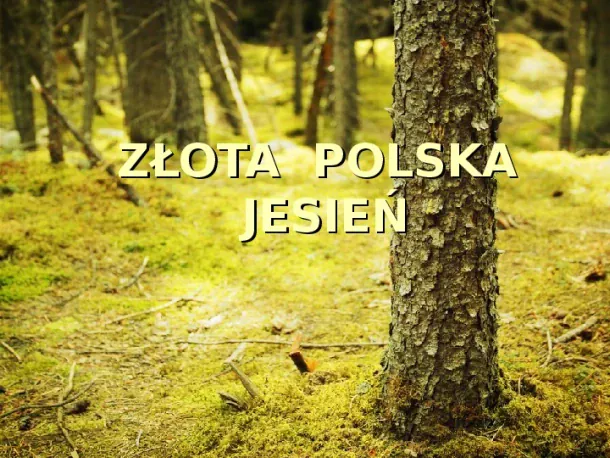 Złota polska jesień - Slide pierwszy