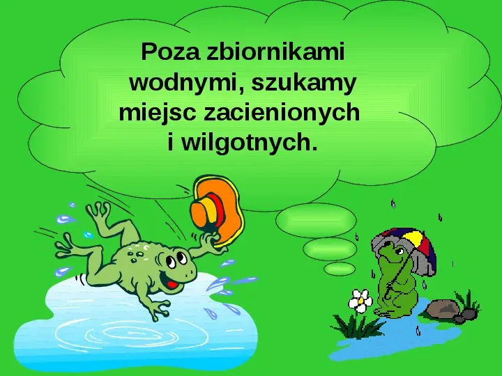Życie w wodzie - żaby - Slide 6