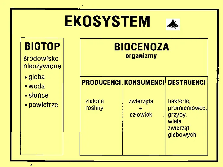 Ekologia - pojęcia podstawowe - Slide 3