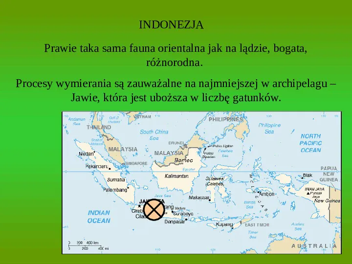 Prawidłowości i czynniki rozwoju fauny na wyspach - Slide 10