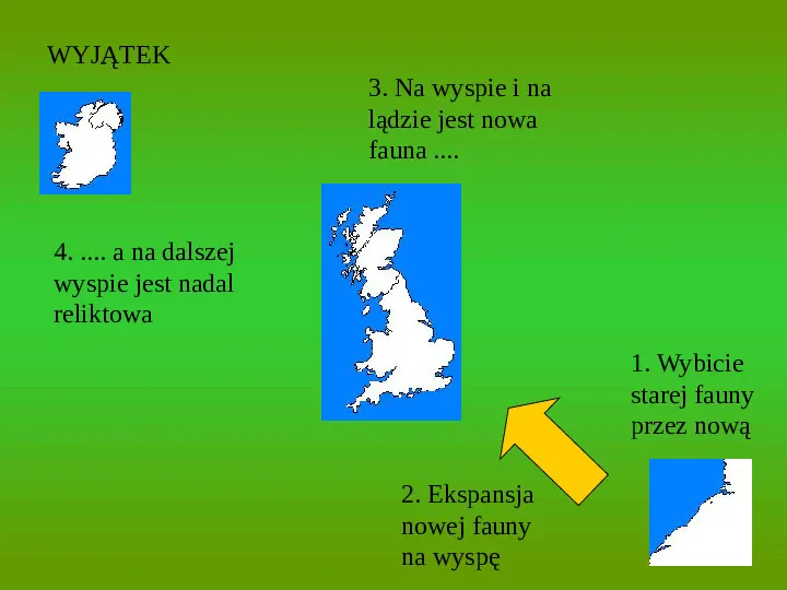 Prawidłowości i czynniki rozwoju fauny na wyspach - Slide 9