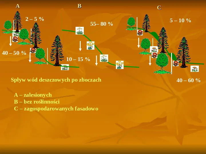 Degradacja gleb i lasów - Slide 4