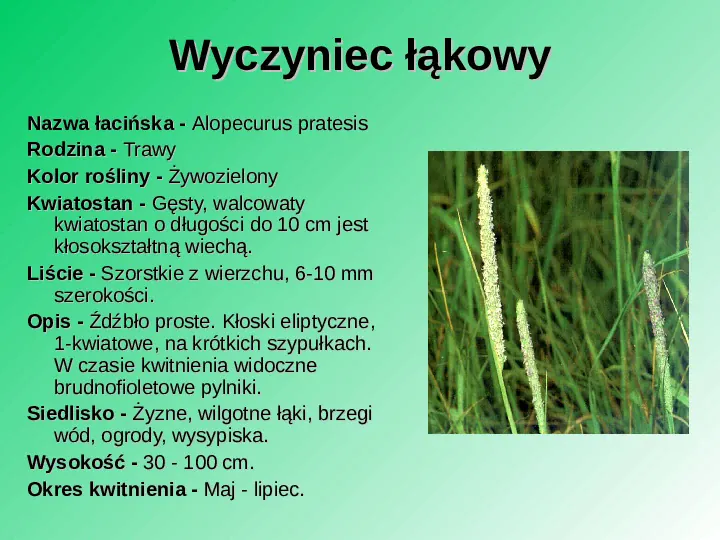 Rośliność w Polsce - Slide 10