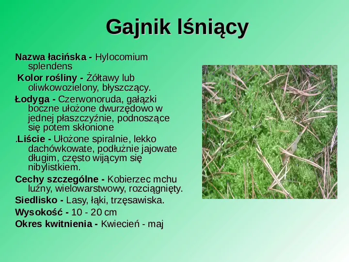 Rośliność w Polsce - Slide 12