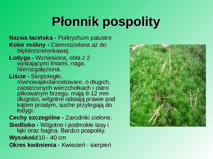 Rośliność w Polsce - Slide 13