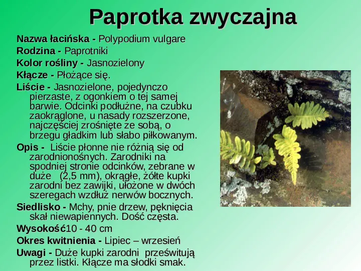 Rośliność w Polsce - Slide 16