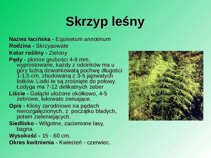 Rośliność w Polsce - Slide 20