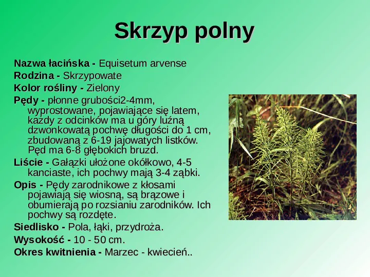 Rośliność w Polsce - Slide 21