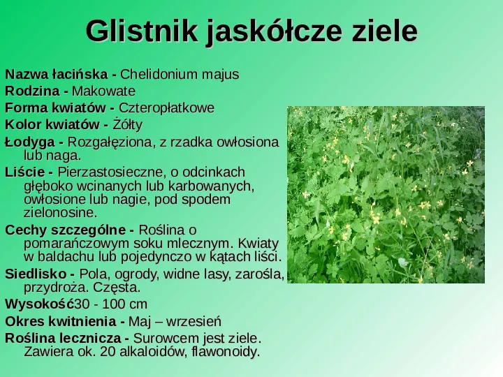 Rośliność w Polsce - Slide 23