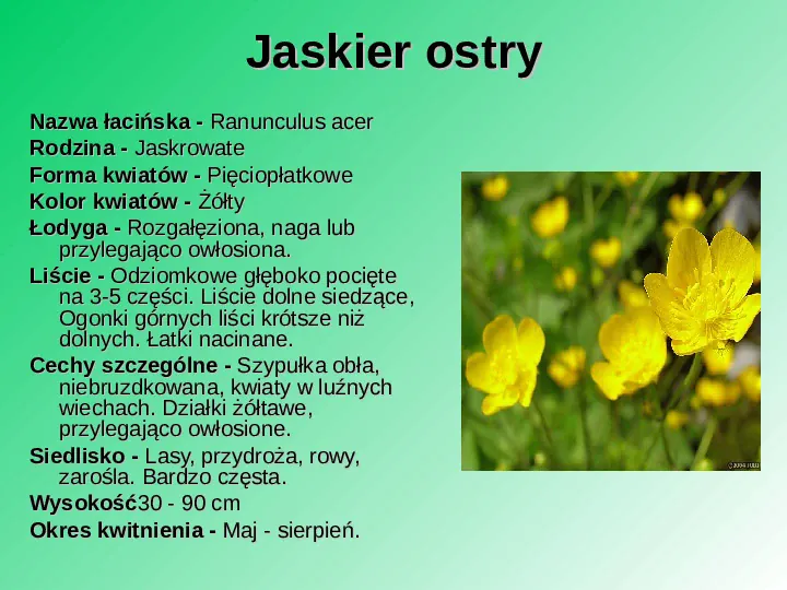Rośliność w Polsce - Slide 25
