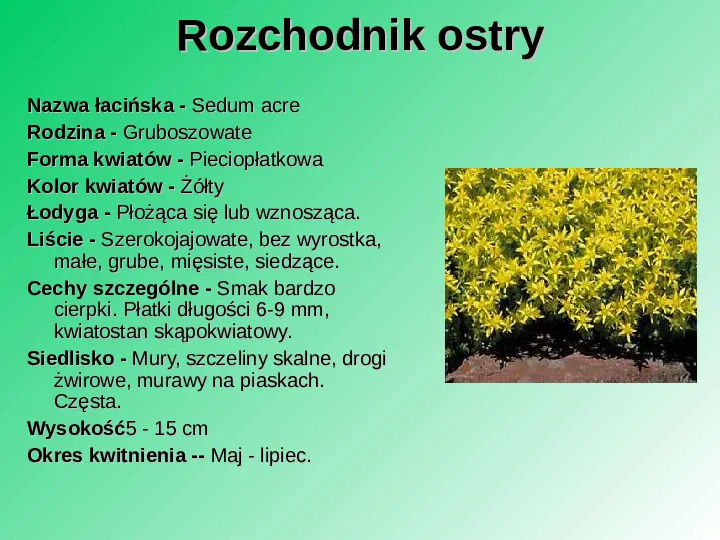 Rośliność w Polsce - Slide 26