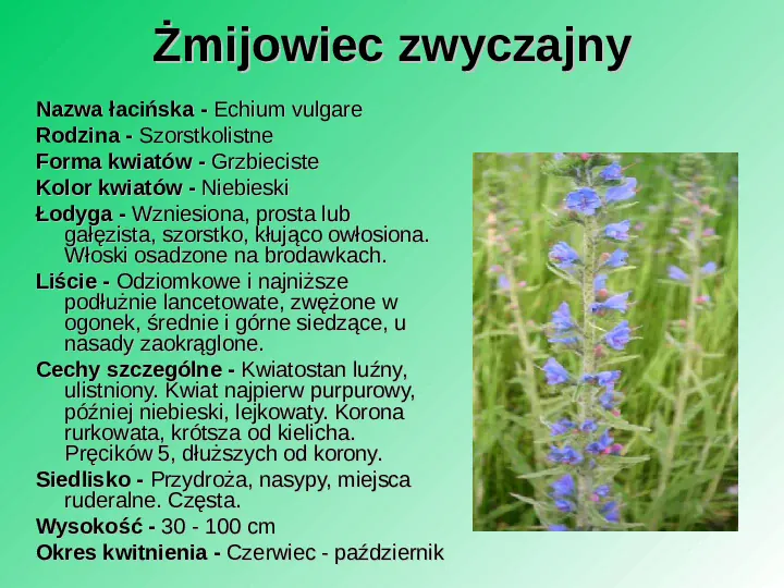 Rośliność w Polsce - Slide 27