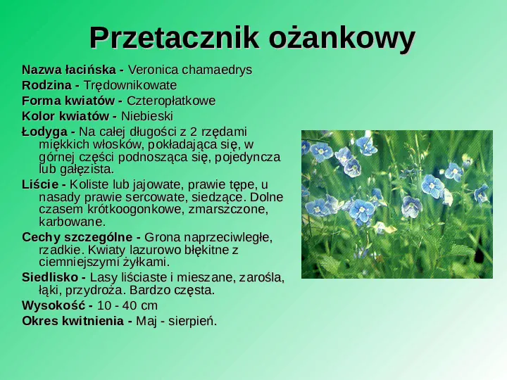 Rośliność w Polsce - Slide 28