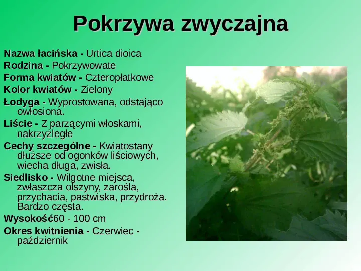 Rośliność w Polsce - Slide 29