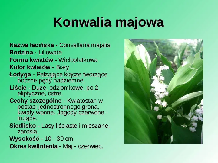 Rośliność w Polsce - Slide 30