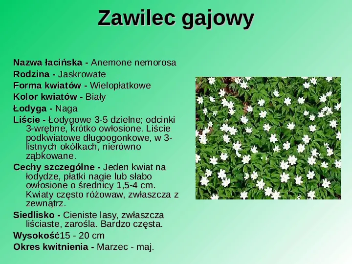 Rośliność w Polsce - Slide 31