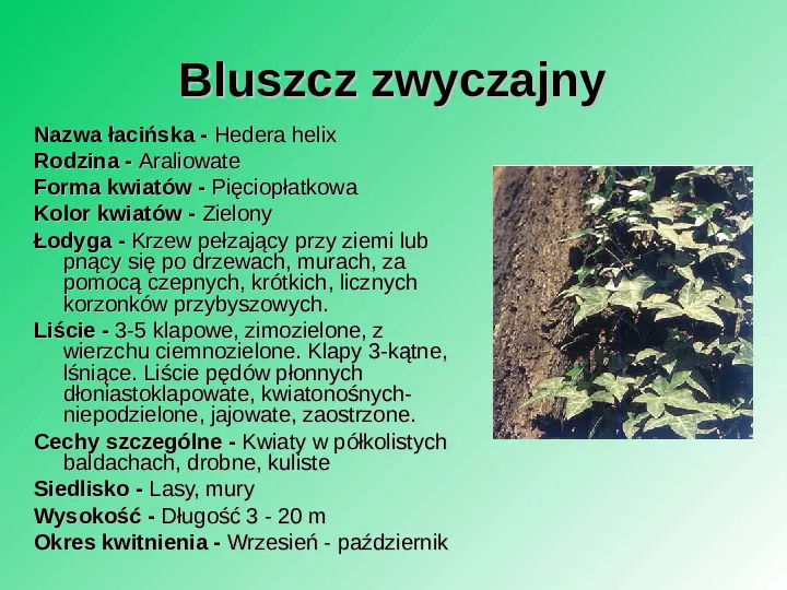 Rośliność w Polsce - Slide 33