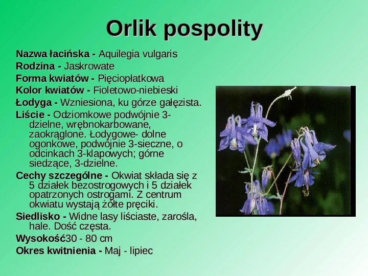 Rośliność w Polsce - Slide 34