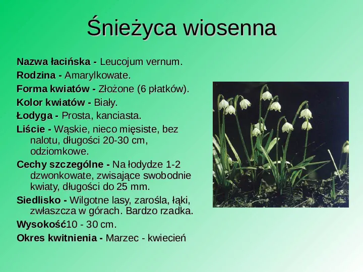 Rośliność w Polsce - Slide 36