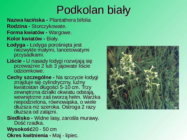 Rośliność w Polsce - Slide 37