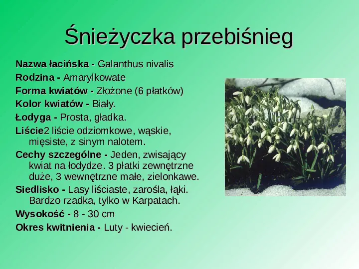 Rośliność w Polsce - Slide 38
