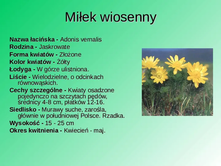 Rośliność w Polsce - Slide 39