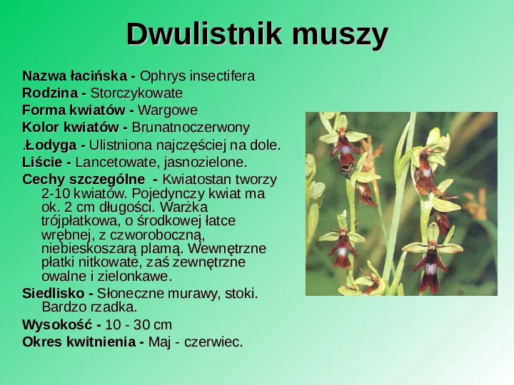 Rośliność w Polsce - Slide 40