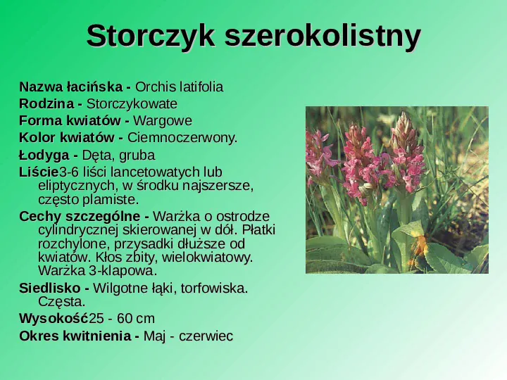 Rośliność w Polsce - Slide 41