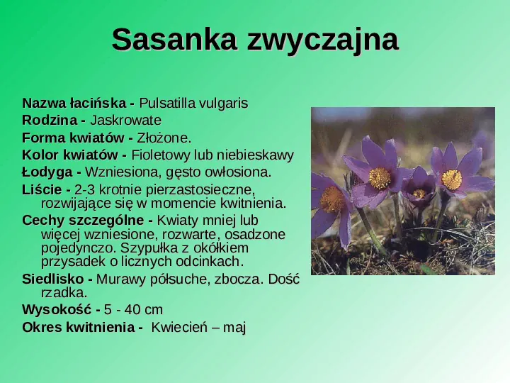 Rośliność w Polsce - Slide 42