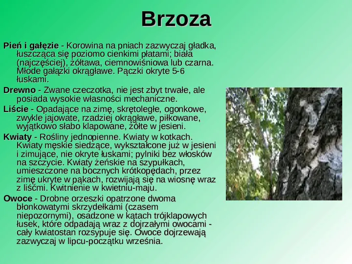 Rośliność w Polsce - Slide 44