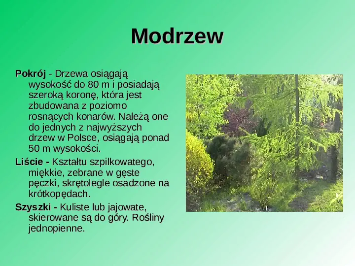 Rośliność w Polsce - Slide 49