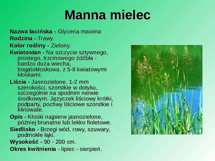 Rośliność w Polsce - Slide 5