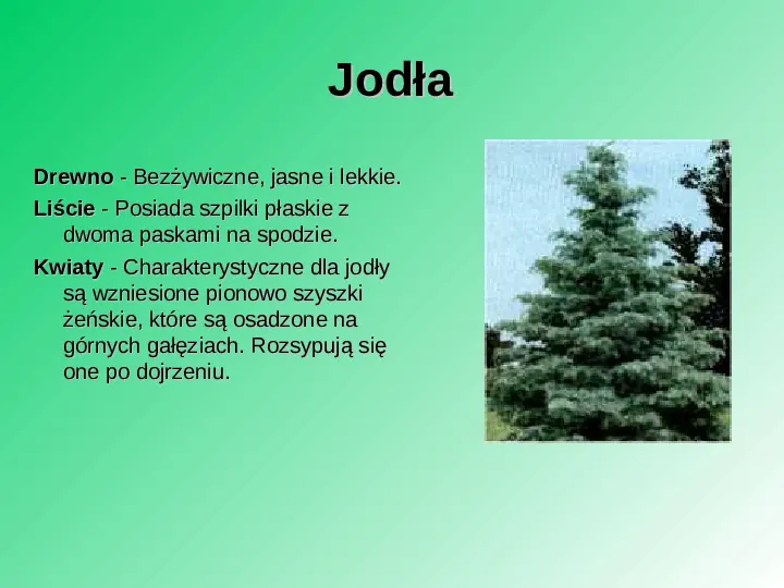 Rośliność w Polsce - Slide 50