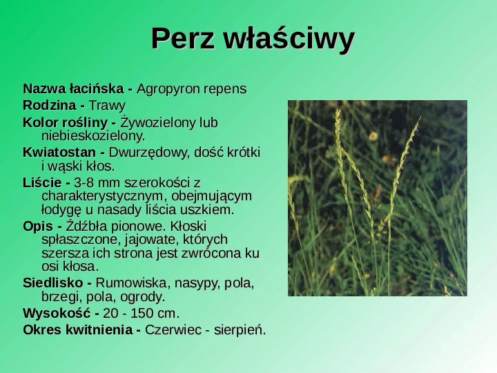 Rośliność w Polsce - Slide 6