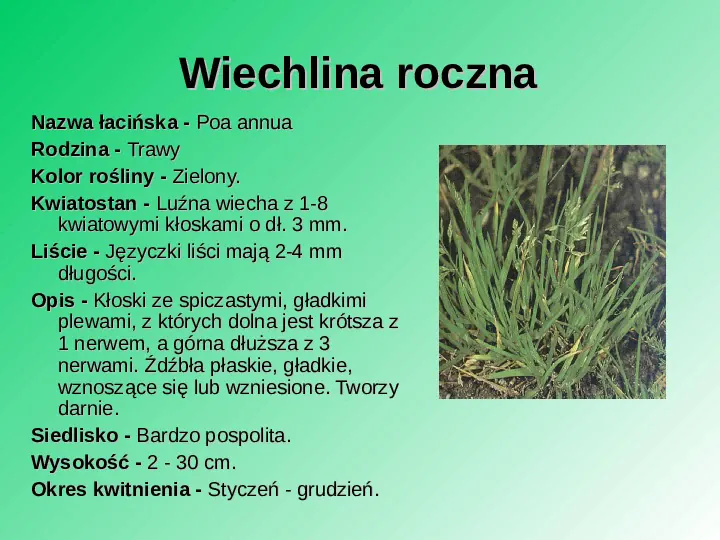Rośliność w Polsce - Slide 9