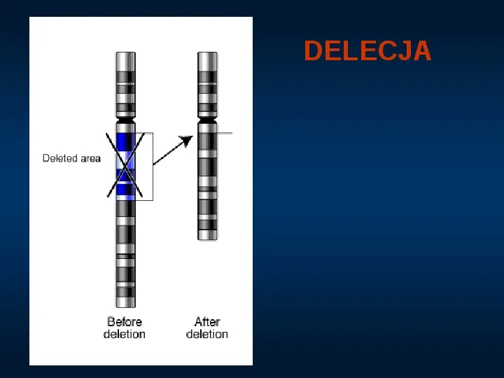 DNA - Slide 30