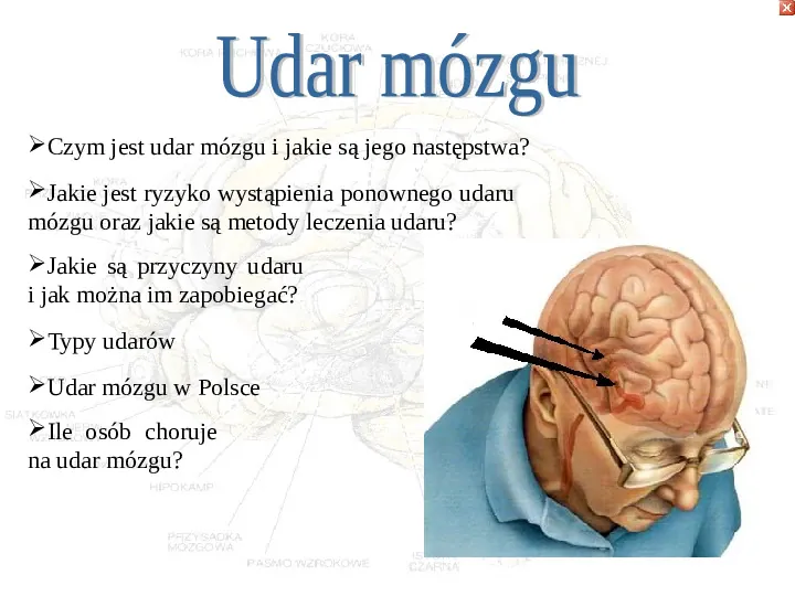 Mózg - Slide 54
