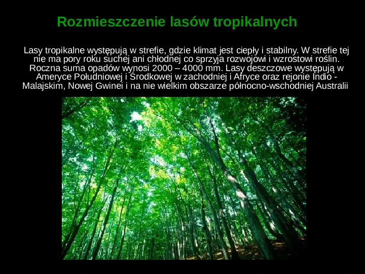 Ochrona lasów tropikalnych - Slide 4
