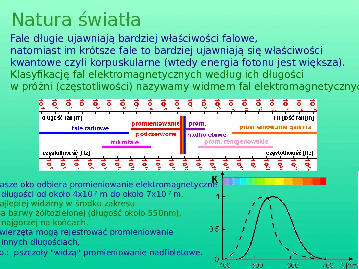Optyka - Slide 3