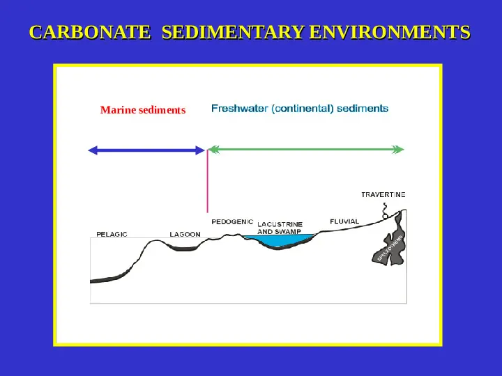 Geneza osadów węglanowych - Slide 2