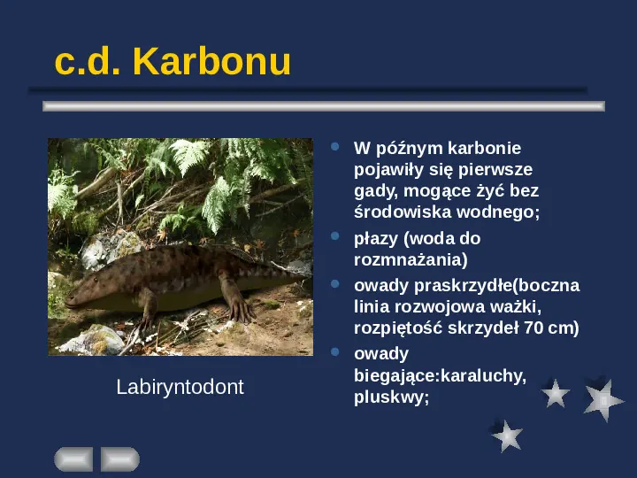 Paleontologia - Slide 27