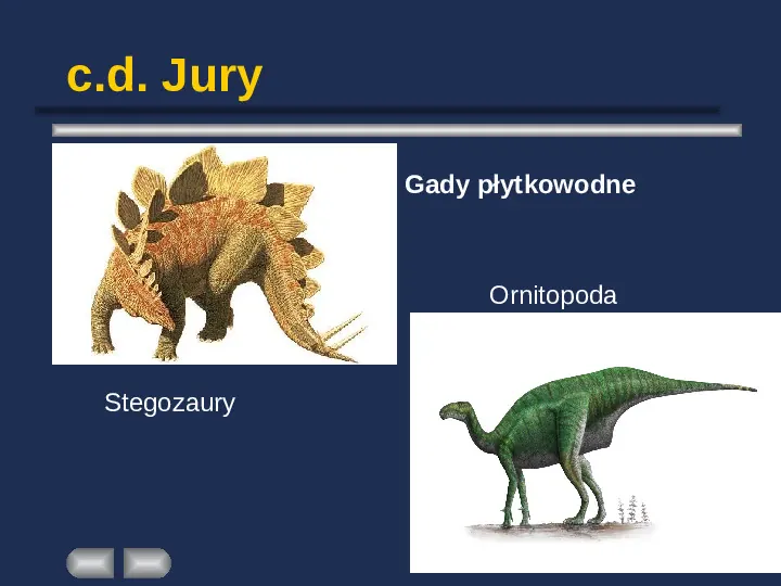 Paleontologia - Slide 40